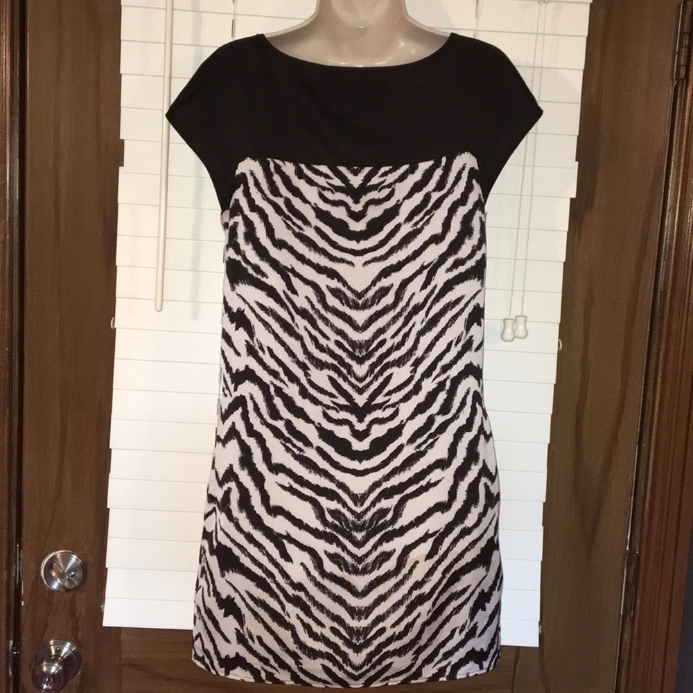 Express Dress - Picture 4 of 6